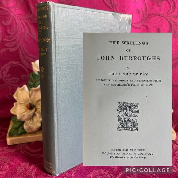 1904 Antique Book: The Writings of John Burroughs Vol. XI the Light of Day - Picture 1 of 12
